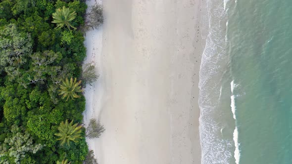 Cape Tribulation beach and palm trees top down moving aerial, Daintree Rainforest, Queensland, Austr