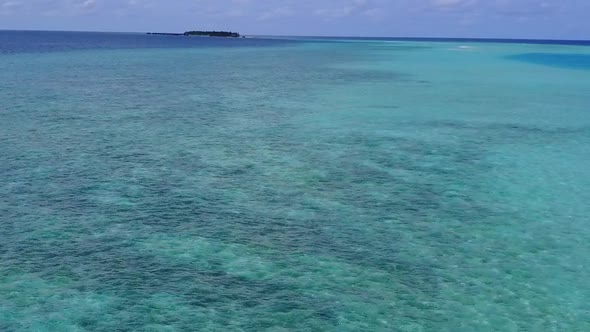 Aerial drone seascape of tropical lagoon beach wildlife by blue ocean and sand background