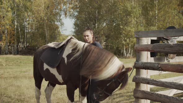 Experienced Stable Girl Saddles a Horse in the Fresh Air, Puts on the Back of the Sweats, Valtrap