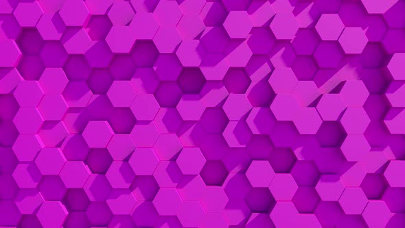 Abstract pink hexagon motion background.