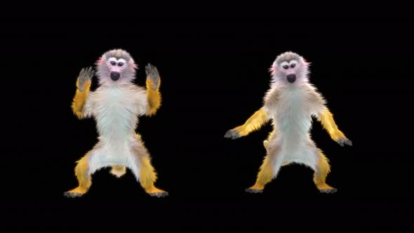 Monkey Dance 4K alt