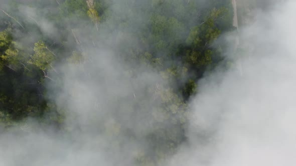 Aerial view fast motion fume from the burning of rubbish