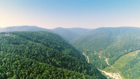 Forest Mountain Aerial