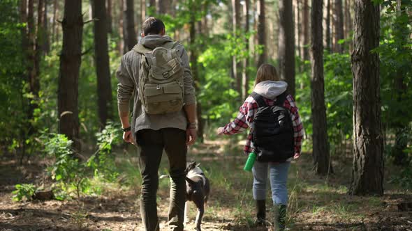 Tracking Shot of Confident Couple of Hikers Walking with Dog in Sunny Forest Outdoors