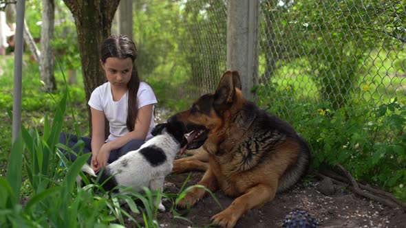 Happy Little Girl Playing with Two Dogs in Garden