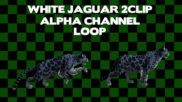 White Jaguar 2 Clip Loop alt