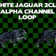 White Jaguar 2 Clip Loop - VideoHive Item for Sale
