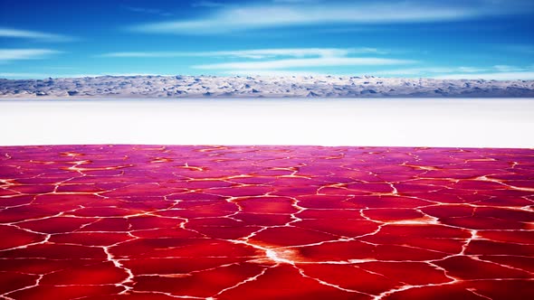 Beautiful View of Pink Lake on Summer Day