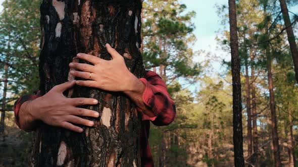 Man hugging tree in forest