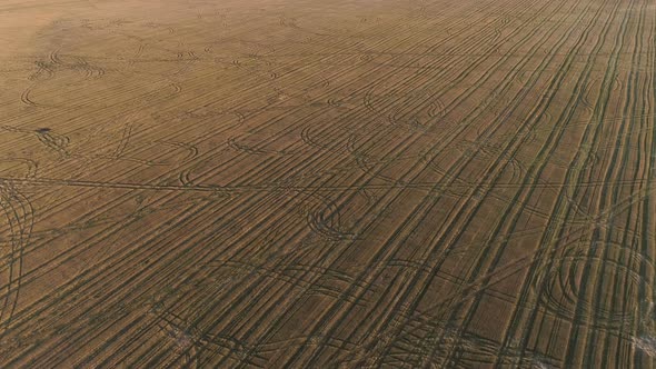 Flight Above Green and Yellow Fields Early Spring