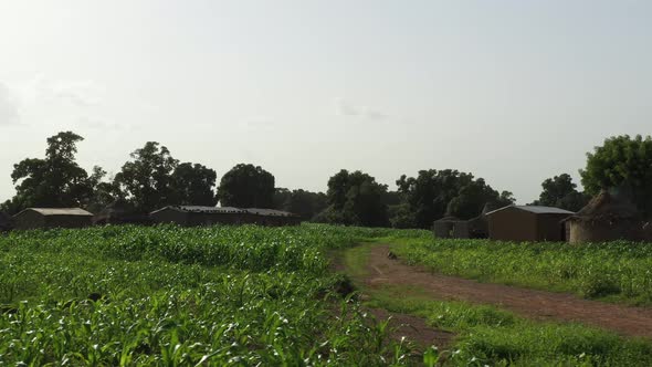 Africa Mali Village And Field Aerial View 