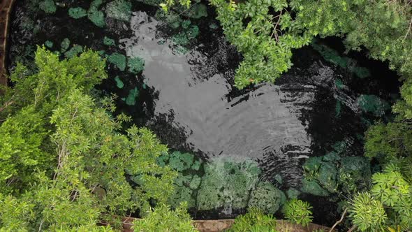 Aerial Shot of a Beautiful Cenote in the Tulum Mexico