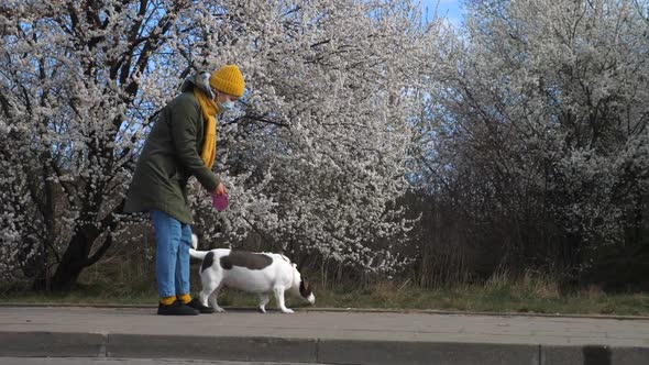 Woman In Face Mask Walking With Dog. Pets During Coronavirus.