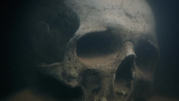 Torch Lights Up Skull Underwater