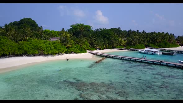 Aerial scenery of marine coastline beach wildlife by turquoise ocean and white sandy background of a