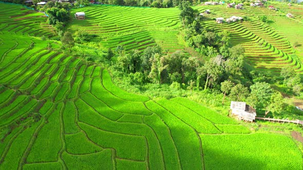 Drone view during golden hour of a rice terrace