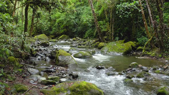 Aerial Drone View of River in Costa Rica Rainforest Scenery, Beautiful Nature with Water Flowing Thr