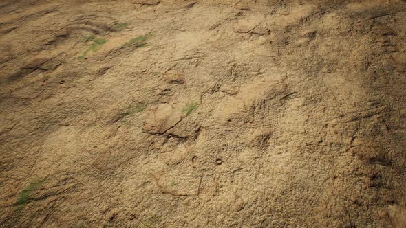 Walking Through Dry Ground