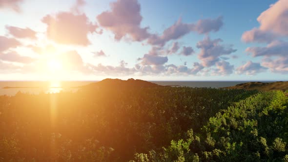 Forest Sunset Clouds