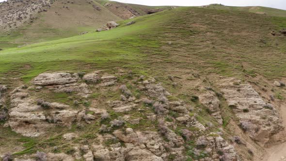 Green Hills Covered By Spring Vegetation Ini Bloom and Grass in the Rocky Highlands