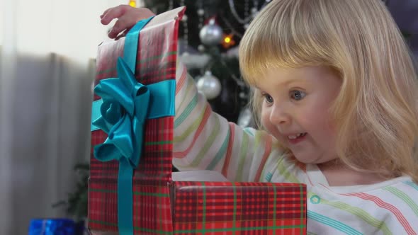 Little Girl Opens New Year's Gift