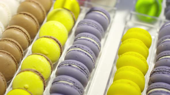 Variety of Macarons in Bakery Showcase