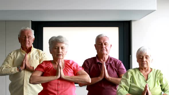 Senior citizens performing yoga