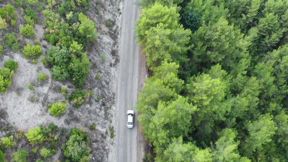 Car driving along the forest road. AERIAL: Car driving through pine forest. Drone shot from above