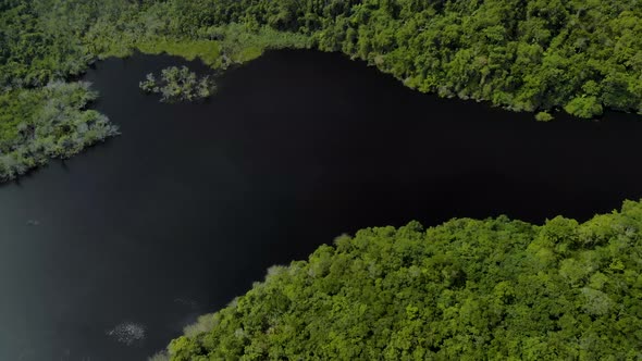 drone footage of lake and forest in brazil