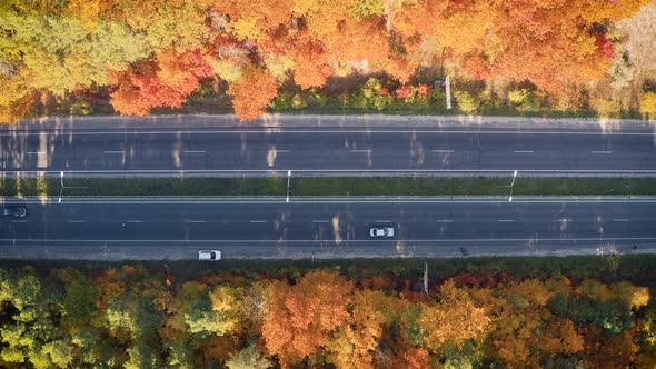 Aerial View of Road in Beautiful Autumn Forest at Sunset