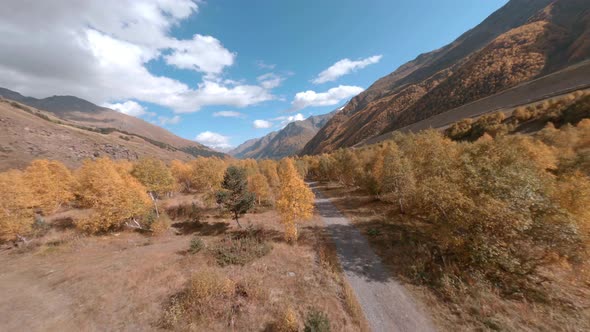 Close Speed Flight Over Picturesque Azau Glade with Empty Ground Road and Autumn Trees Under Blue