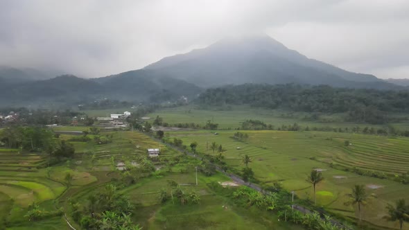 View of the village of Grabag Magelang which has a beautiful view of rice fields and Andong mountain