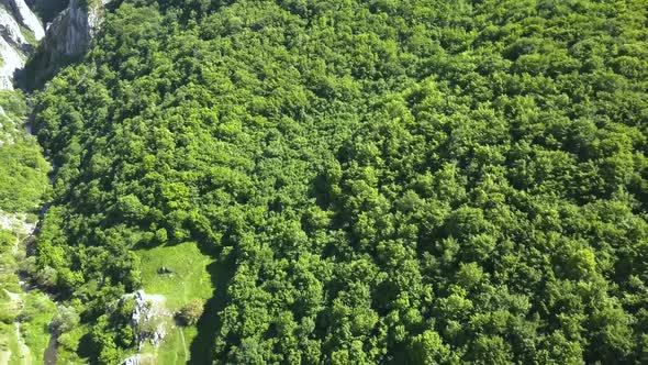 Dense forest at the exit of Turda Gorge. Aerial view, camera moves back to reveal the lush green val