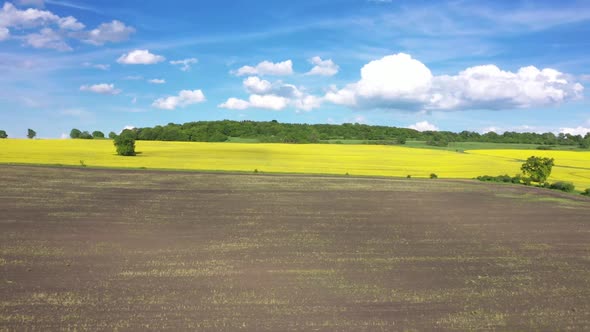 Images Of Spring Agriculture