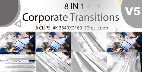 Corporate Transitions V5