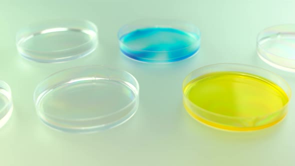Set of Petri Dishes with Colored Liquid