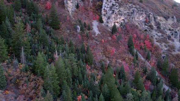 Flying backwards from down hillside over colorful forest