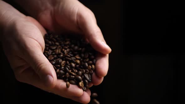 Coffee Beans Falls Down From Farmer Hands