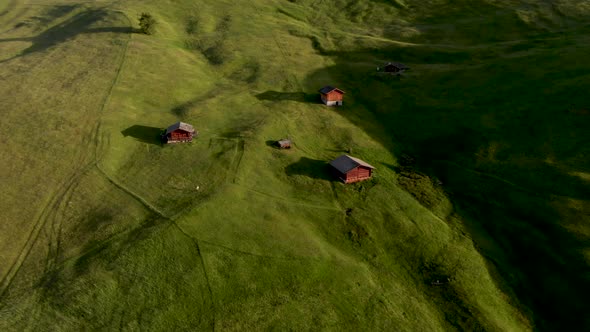 Aerial View of Man Walking on Blooming Meadows at Alpe di Suisi Valley in Dolomites Italy