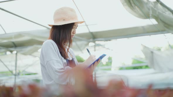 Asian young beautiful woman farmer work in vegetables hydroponic farm.