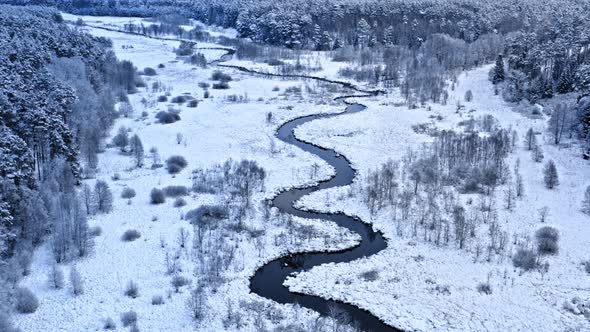Winter river and snowy forest. Aerial view of winter wildlife
