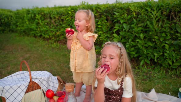 Carefree and Happy Childhood Two Little Blonde Girls are Eating Peaches on Family Picnic