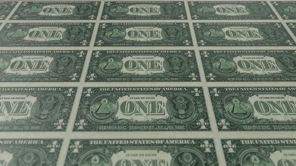 Multiply Money One Dollar Backside Economy