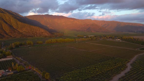 Aerial dolly in of green farm fields and pine trees, mountains in background, on a cloudy golden hou