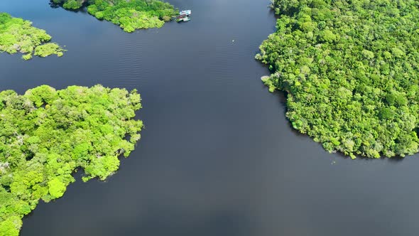 Stunning landscape of Amazon Forest at Amazonas State Brazil.