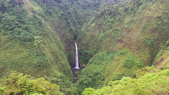 Aerial view of waterfall in lush rainforest