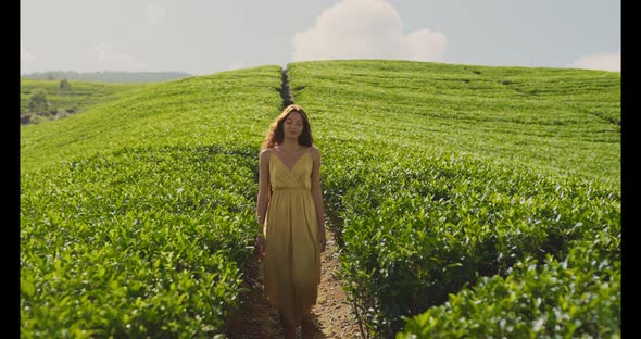 Woman Traveler in Front of Nature Background Tea Plantations Landscape in Sri Lanka