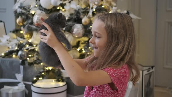 Happy Little Girl Hugs Cute Kitten in Christmas