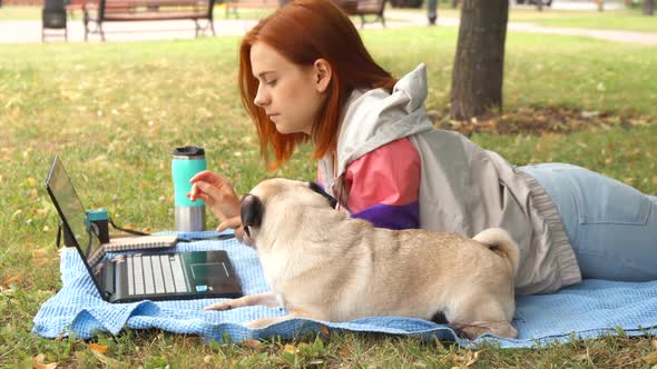 Girl Laying and Typing on Laptop on a Lawn with Her Pug Around