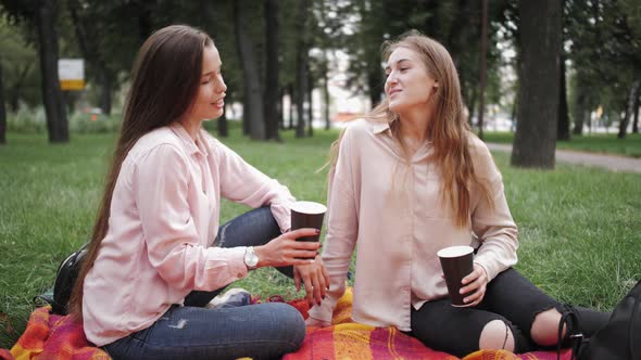 Happy friends having picnic outdoor, laughing happily, chatting and toasting.